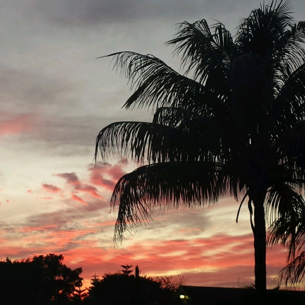 Meet your Posher, Karelle